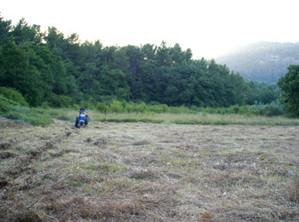 La parcelle en friche depuis 20 ans